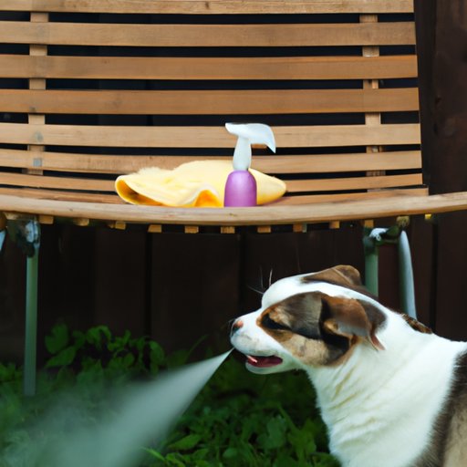 Getting Rid of Fleas How Long Does it Take? The Enlightened Mindset