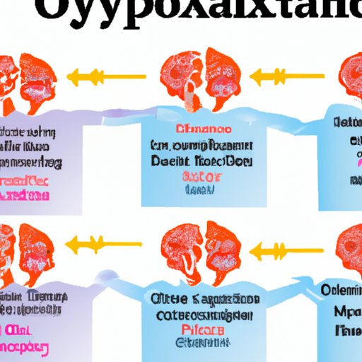 A Comprehensive Guide to Understanding Oxytocin and Its Effects on the Brain