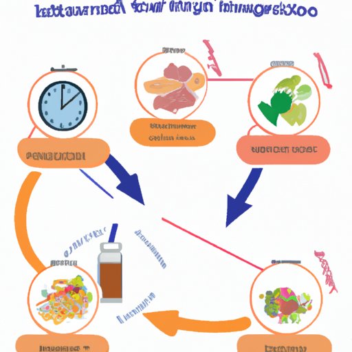 Exploring Factors That Affect Digestion Times