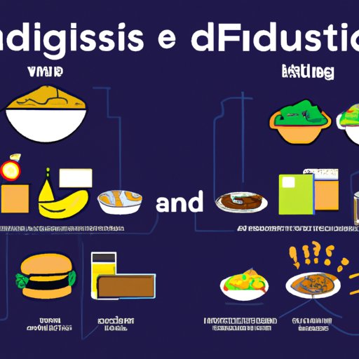 Comparisons of How Different Foods are Digested