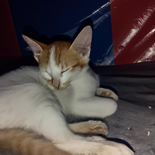 The Benefits of Waiting to Sleep After Eating