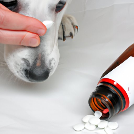 Investigating the Side Effects of Administering Baby Aspirin to Dogs