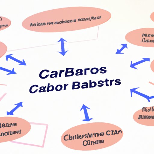 Overview of the Role of Carbs and Weight Loss