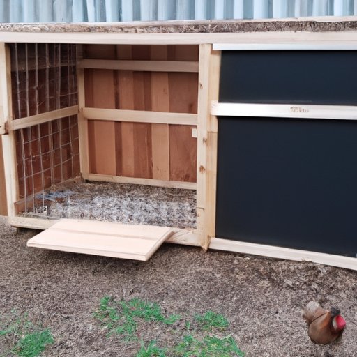 How Many Chickens Can Fit in a 10×10 Run? A Comprehensive Guide The