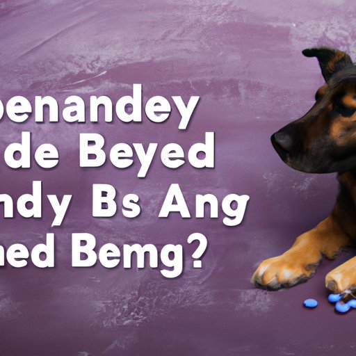 Giving Benadryl to Dogs How Much is Safe? The Enlightened Mindset