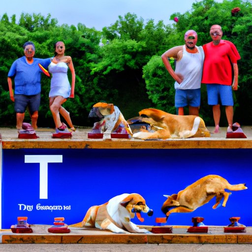 Maximizing the Benefits of Trazodone While Minimizing Side Effects in Dogs