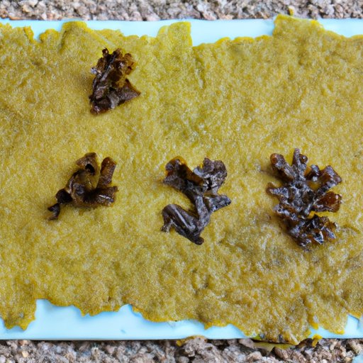 A Comprehensive Guide to the Nutritional Composition of Sea Moss