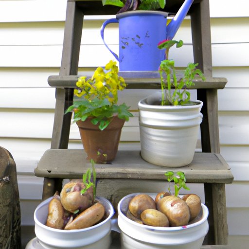 Get the Most Out of a Small Space: Planting Potatoes in Containers