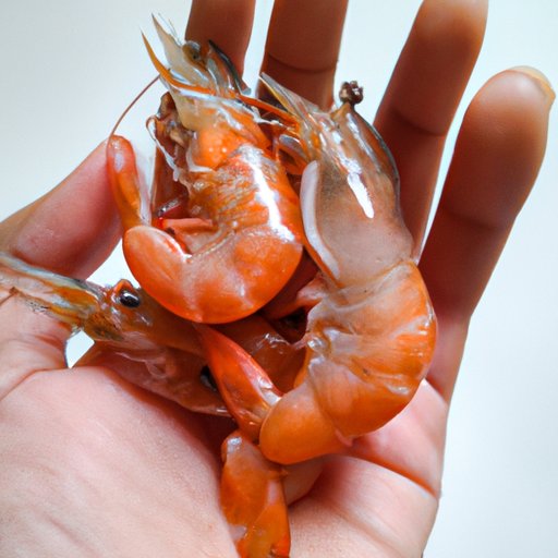 Understanding the Nutritional Benefits of Eating Shrimp