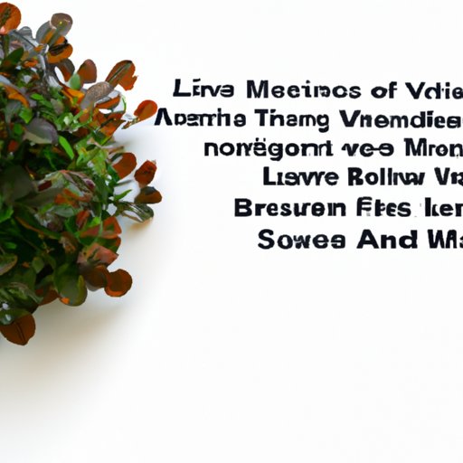 Maximizing Your Benefits: Using Multiple VA Loans