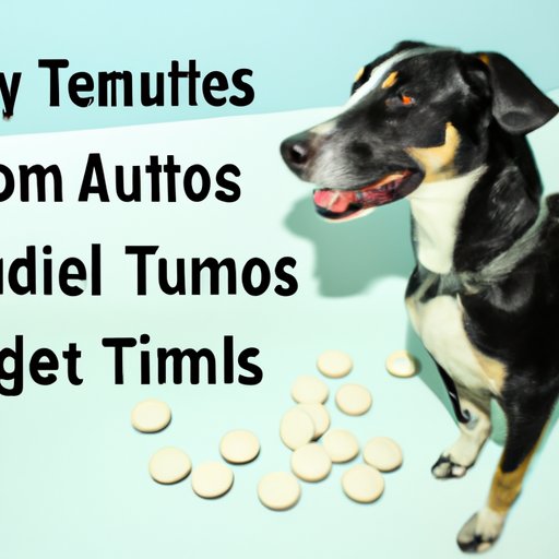 How Much Tums Can I Give My Dog? The Dos, Don’ts and Benefits The