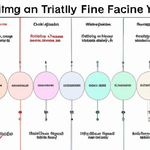 An Overview of Fertility Timelines