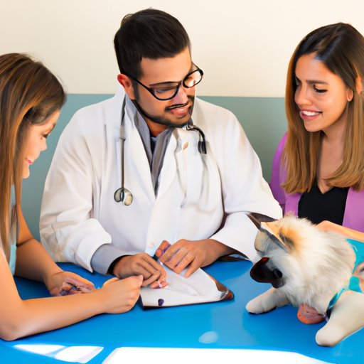 Interviewing Veterinarians to Understand How Long It Takes to Become a Vet