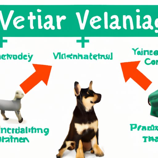 How Many Years of School to Be a Vet? Exploring the Educational Journey