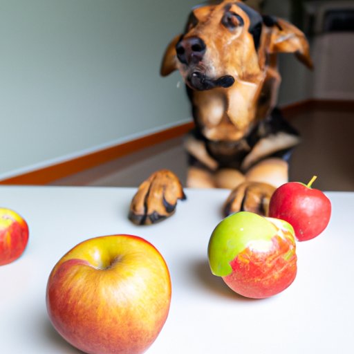 Common Questions About Feeding Apples to Dogs