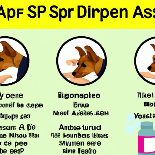 How to Administer Aspirin Safely to Your Dog