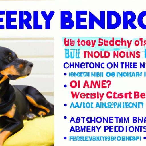 Common Questions About Benadryl and Dogs Answered