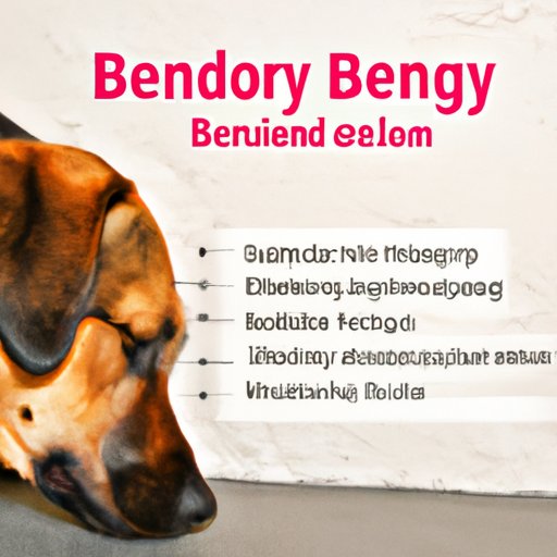 The Benefits and Risks of Using Benadryl for Dogs