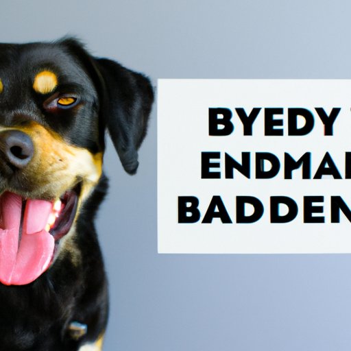 What You Need to Know About Giving Benadryl to Dogs