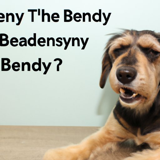 Common Questions About Giving Dogs Benadryl