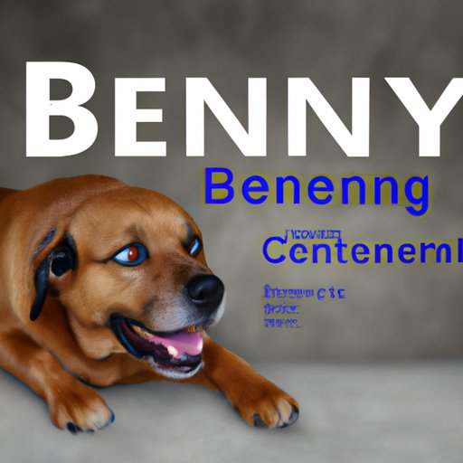 Signs of Anxiousness in Dogs and How Benadryl Can Help