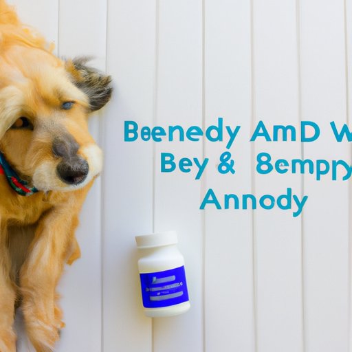 How to Safely Administer Benadryl to Your Dog for Anxiety