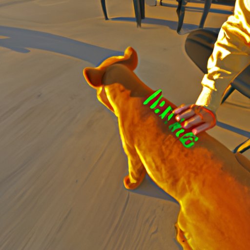 Benefits of Contributing to a SEP IRA