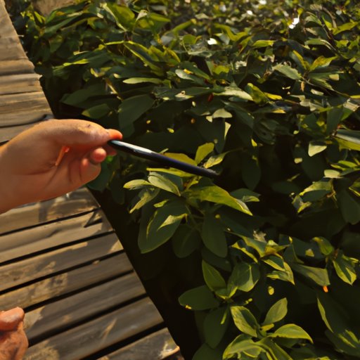 Examining the Benefits of Contributing to an HSA in 2023