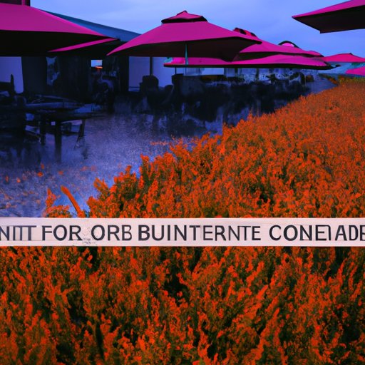 Strategies for Optimizing Income and Social Security Benefits