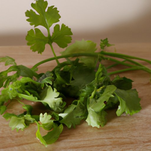 Overview of the Health Benefits of Eating Cilantro