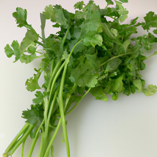 Why Cilantro is Good for Your Health