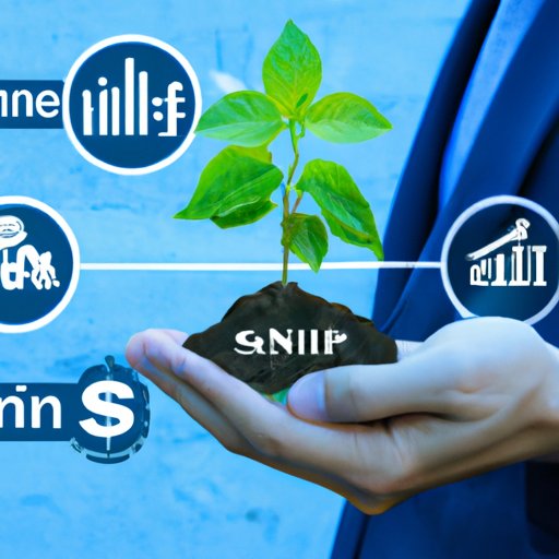 Creating a Sustainable Investment Plan with Limited Resources