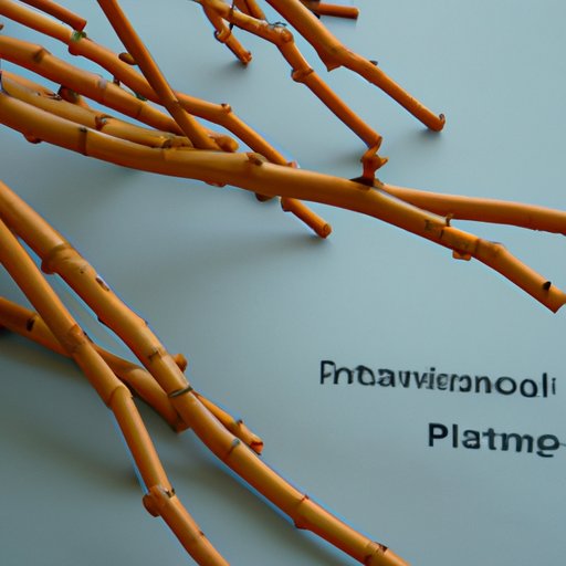 Making Sense of Branch Manager Compensation Packages