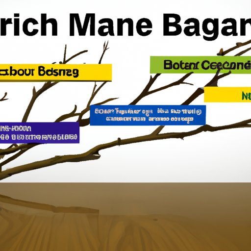 Analyzing Branch Manager Salaries Across the US