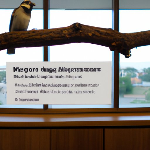 The Average Salary of a Branch Manager: What to Expect