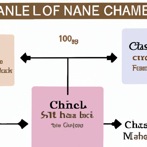 A Comprehensive Guide to the Cost of a Chanel Bag