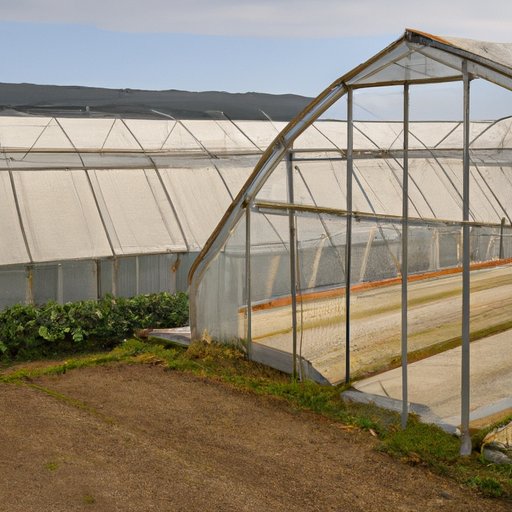 An Overview of Financing Options for Greenhouse Construction