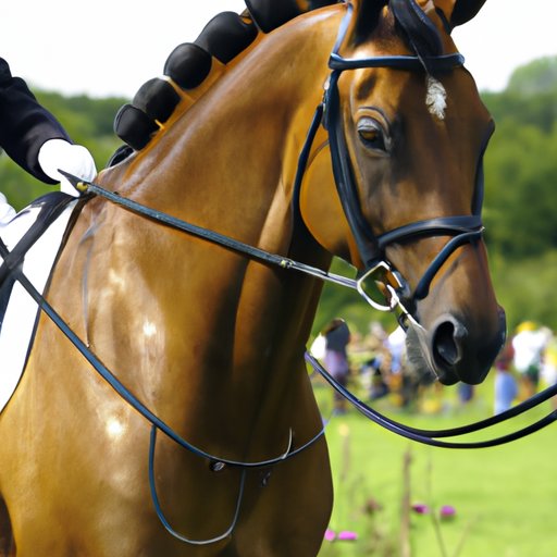Calculating the Expense of Horse Ownership: What You Can Expect Yearly