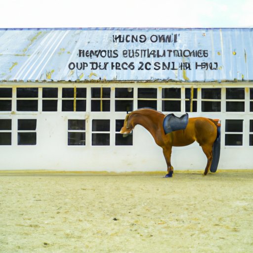 The Cost of Horse Ownership: A Comprehensive Breakdown of Monthly Expenses