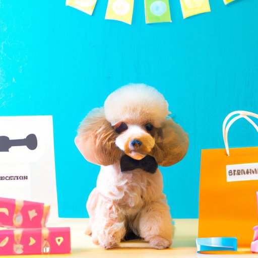 How to Find the Best Value When Shopping for a Miniature Poodle