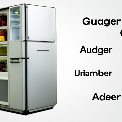 An Overview of Refrigerator Types and Prices