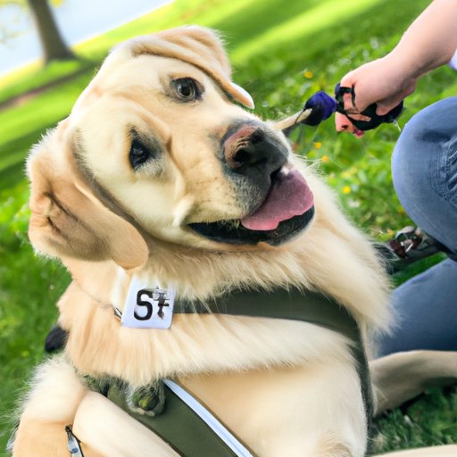 The Financial Impact of Buying a Service Dog