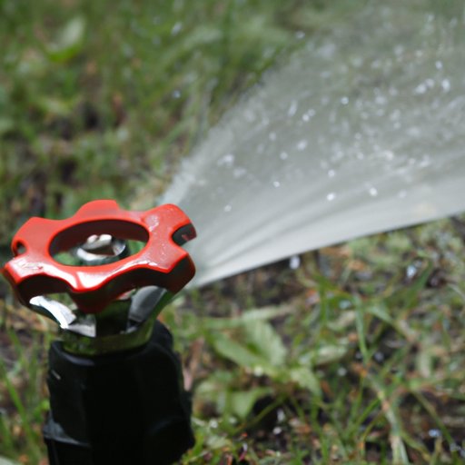 Exploring the Financial Impact of Installing a Sprinkler System
