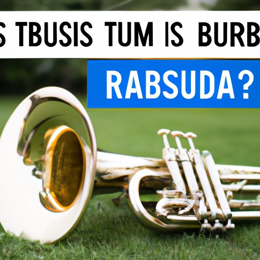 How Much Does a Tuba Cost? A Comprehensive Guide to Tuba Prices The