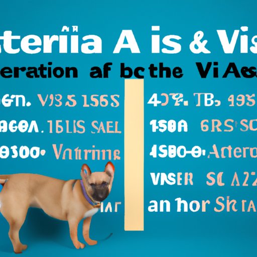 Comparing Vet Assistant Salaries Across the Country 