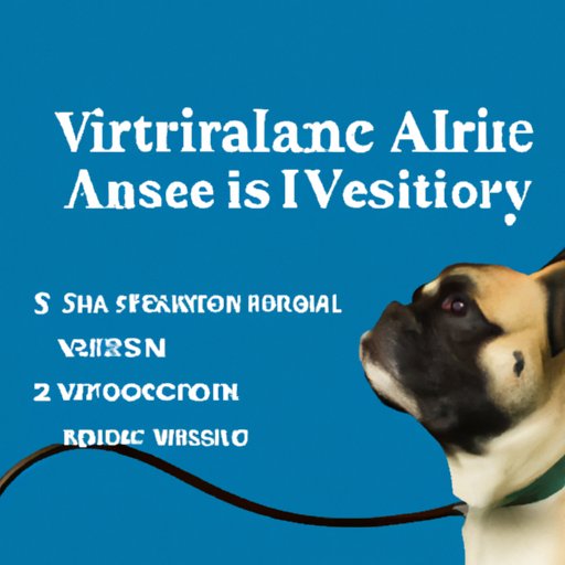 How Much Does a Veterinary Make? Exploring the Veterinary Profession