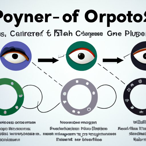 Common Career Paths for Optometrists