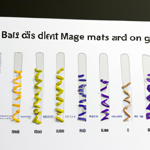 Exploring the Different Costs of Dog DNA Tests