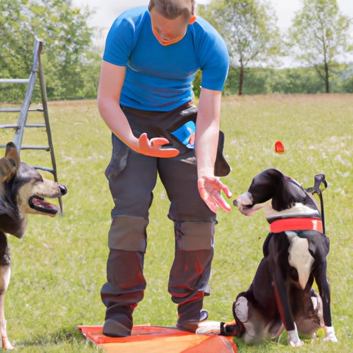 Exploring Alternatives to Professional Dog Training Services