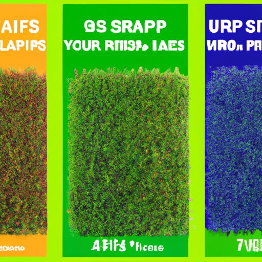 Comparing the Prices of Different Types of Grass for Your Lawn